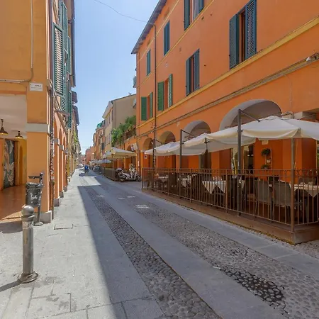 Mandala & Comfy Bologna