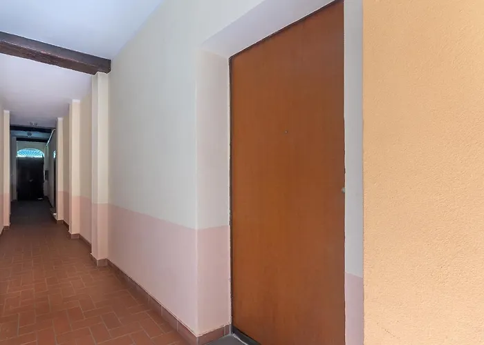 Guesthost - Mandala & Comfy Boloňa